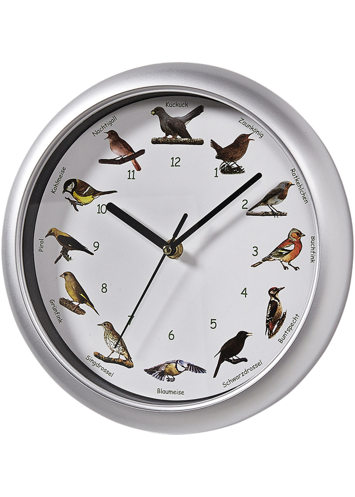 Часы с птичками настенные. Часы настенные "птица". Часы с пением птиц настенные. Часы настенные с имитацией птичьих голосов.